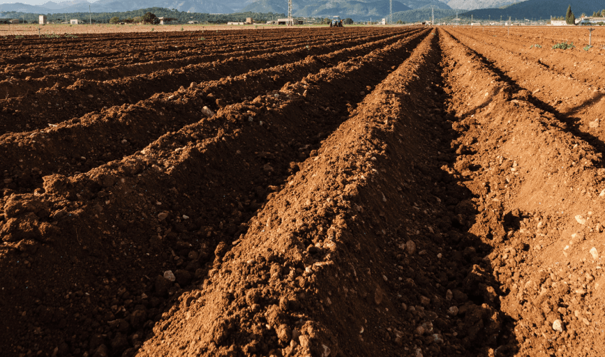 Tilling Services
